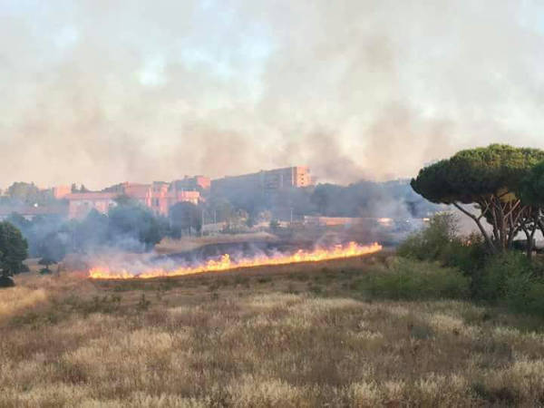 Incendi a Roma, monitoraggio aria Arpa: la situazione e i dati . "Situazione in netto miglioramento"
