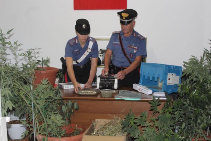 Prima Porta, scoperta una piantagione di marijuana e denunciate persone che si sono allacciate abusivamente alla corrente elettrica