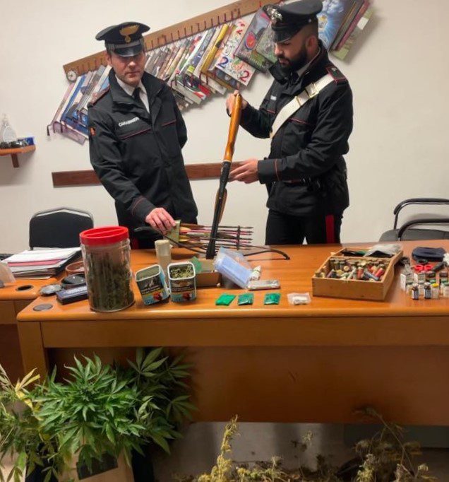 Tivoli, 14 piantine di marijuana, quasi 100 munizioni per fucile e diversi anabolizanti, arrestato 42enne