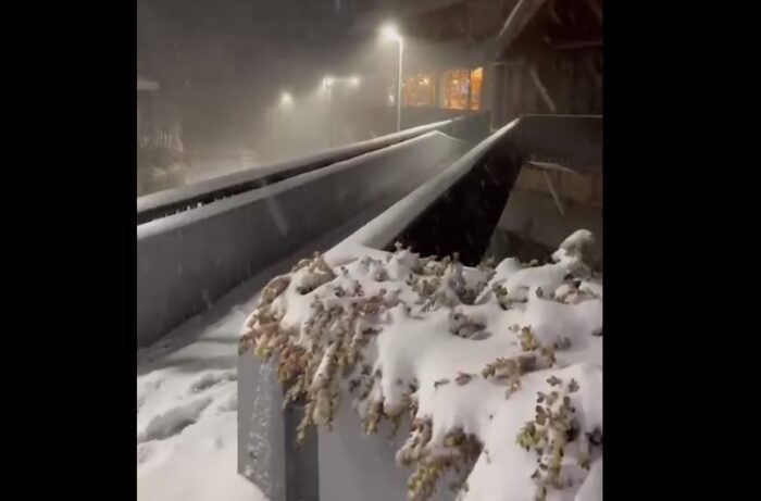 terminillo neve video