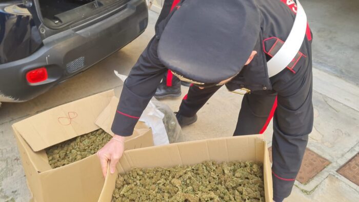 Boom di ricoveri tra i giovanissimi che consumano marijuana