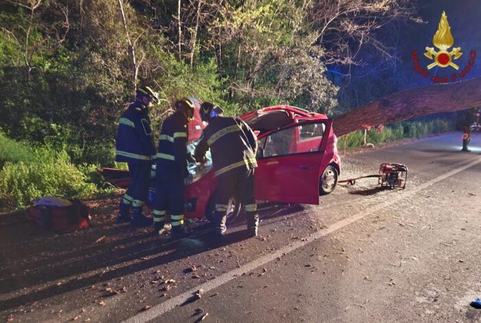 Paura a Castel Gandolfo, albero cade su un'auto in transito: due feriti, tra cui uno in codice rosso