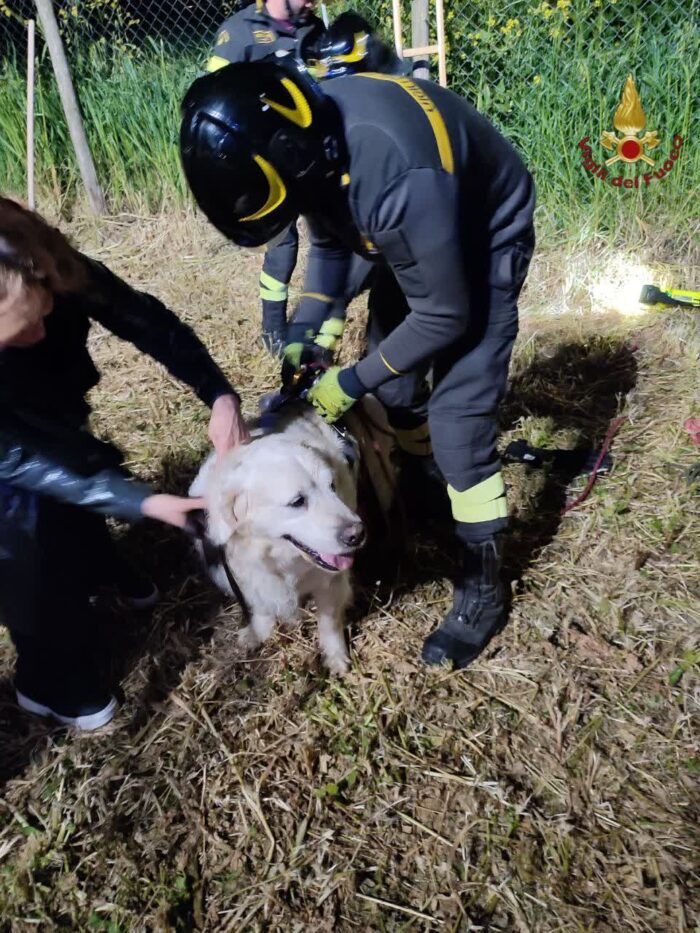 Roma, cade in una buca profonda più di tre metri: paura per un cane