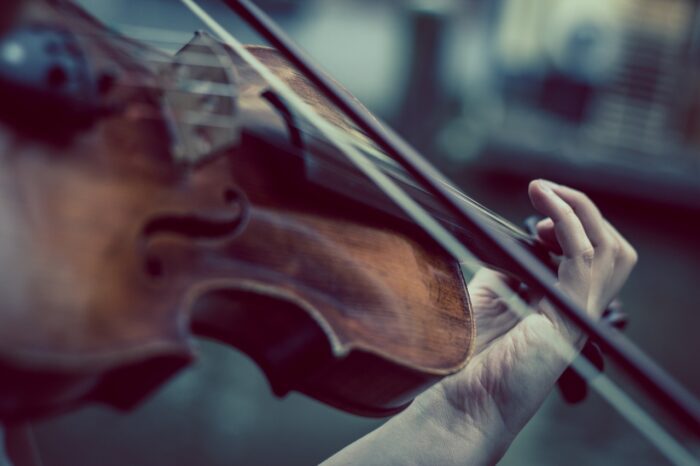 dimentica violino treno