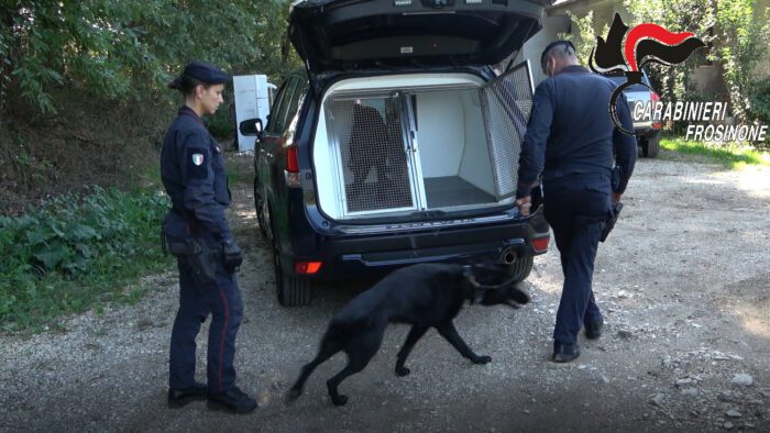 carabinieri perquisiscono auto con cane antidroga