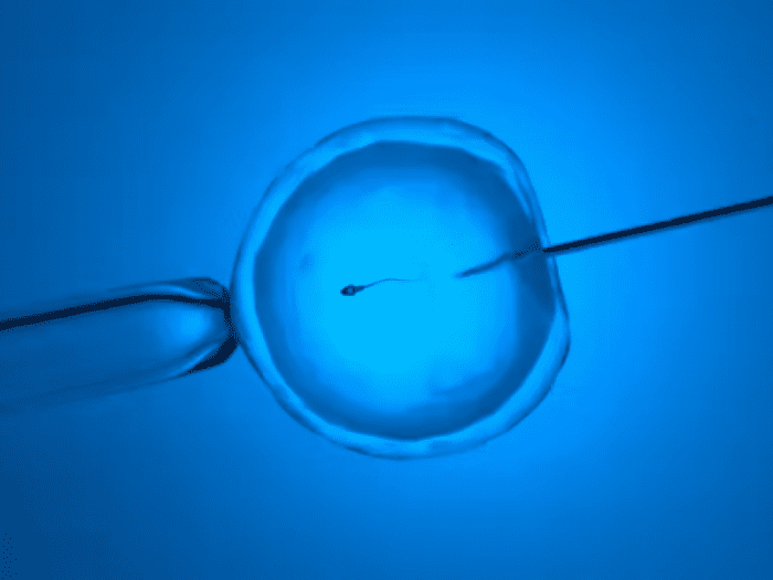 bambino nato dna tre persone