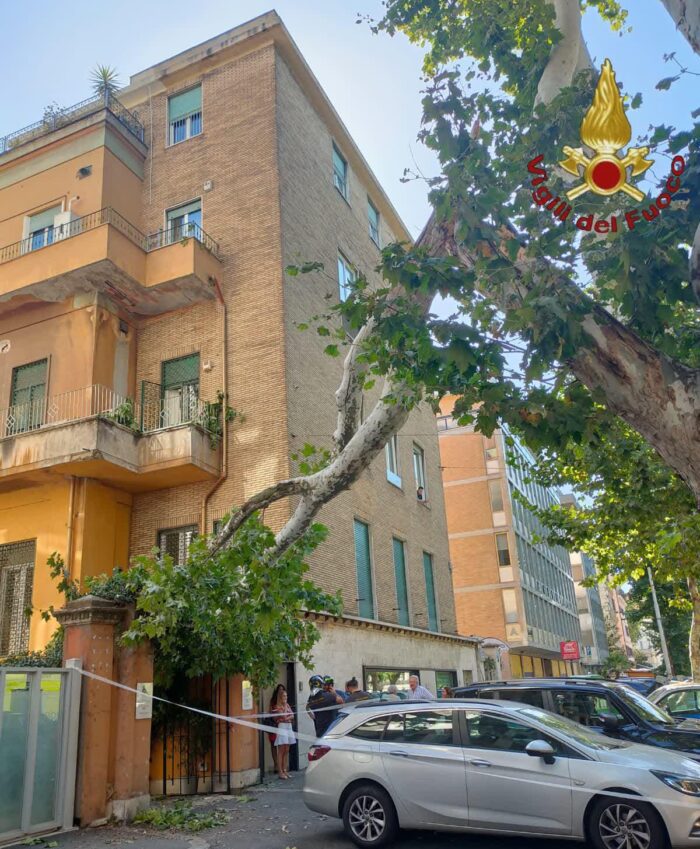 roma ramo su ingresso condominio intervento vigili del fuoco