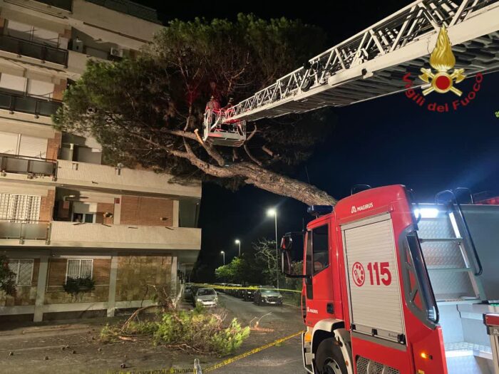 Pino crolla su una palazzina di quattro piani a Ostia, l'intervento dei VVF