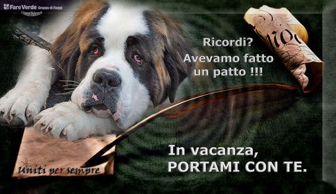 fare verde abbandono animali comunicato