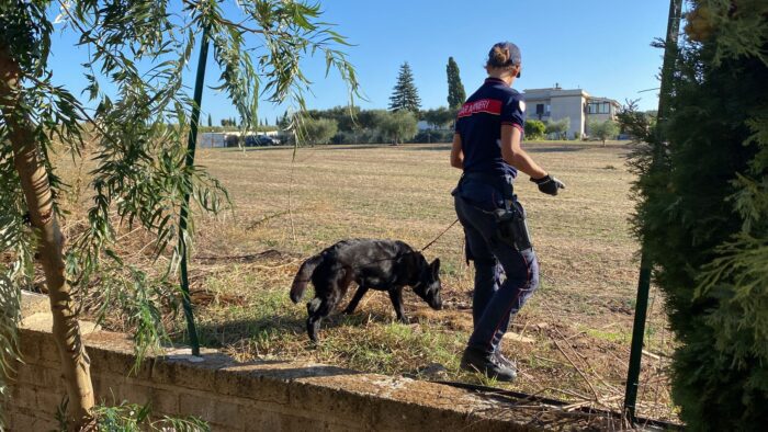 Cerveteri, scatta l'operazione Rider, in arresto quattro persone