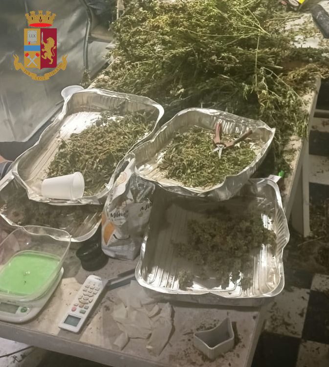 Scoperto capannone ad Anzio per la coltivazione della marijuana
