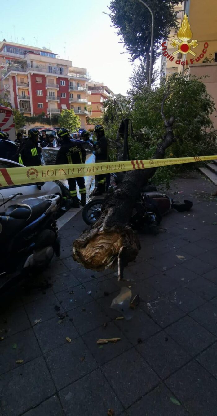 Roma e provincia, inizia la conta dei danni per le forti raffiche di vento: morta una persona schiacciata da un albero in via di Donna Olimpia