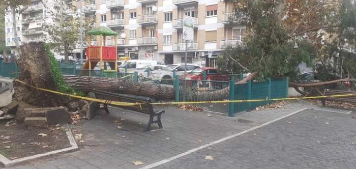 Roma, albero cade e si schianta sull'area giochi in zona Prati