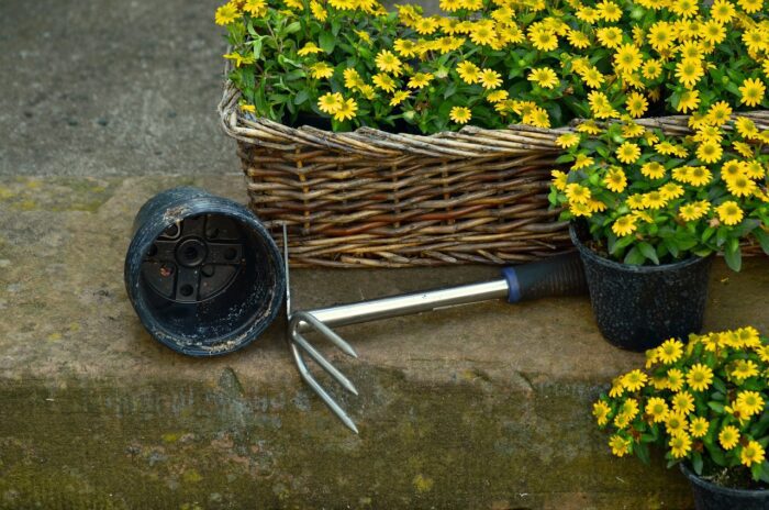 colleferro società servizi giardinieri