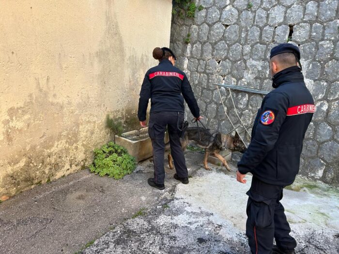 Ausonia, droga e armi in casa: denunciati tre giovani