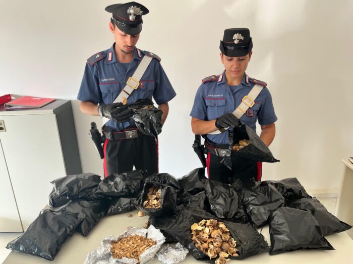 anzio oppio in valigia arrestato