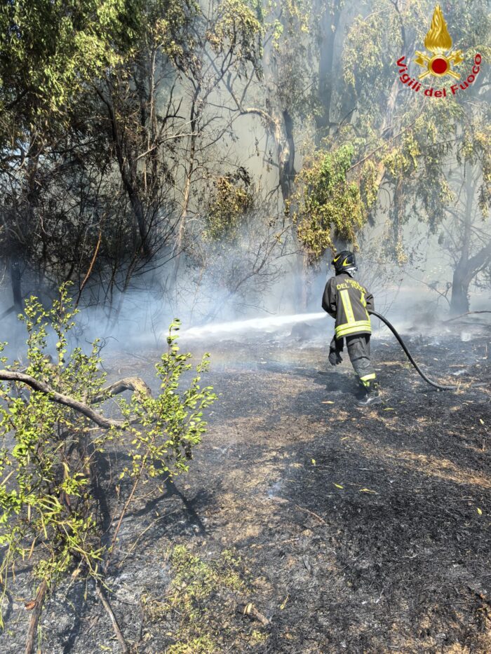 roma incendi vegetazione oggi 13 agosto 2025 vigili del fuoco monterotondo